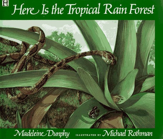 Here is the Tropical Rainforest