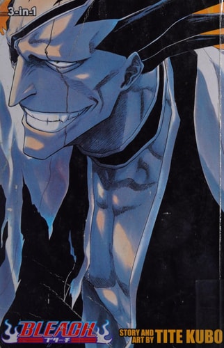 Bleach (3-in-1 Edition), Vol. 5