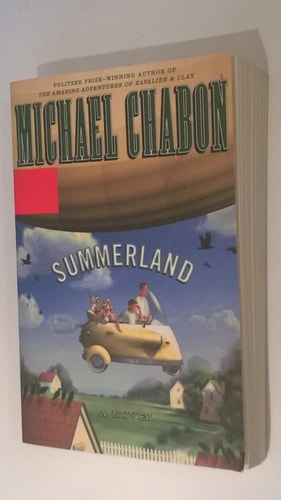 Summerland: A Novel