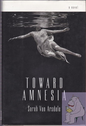 Toward Amnesia