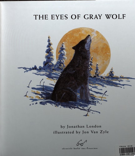 The Eyes of Gray Wolf