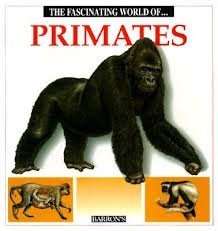 The Fascinating World of Primates (The Fascinating World Of... Series)