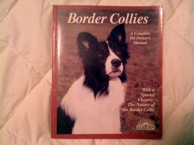 Border Collies (Complete Pet Owner's Manuals)