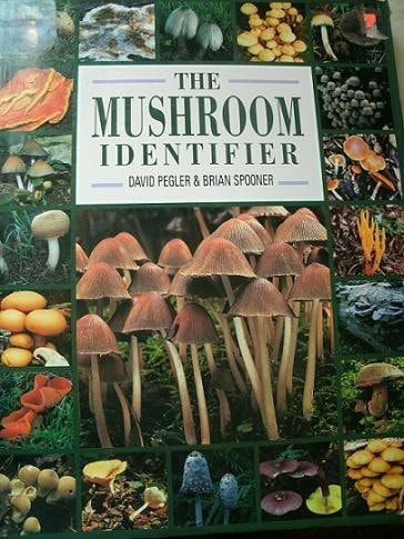 The Mushroom Identifier