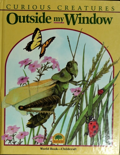 Outside my window (Curious creatures)