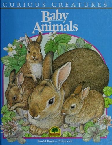 Baby animals (Curious creatures)