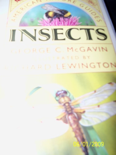 Insects (Americna Nature Guides)