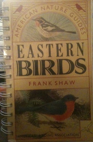 Eastern Birds