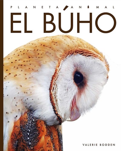 El búho (Planeta animal) (Spanish Edition)