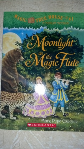 MOONGLIGHT ON THE MAGIC FLUTE - MAGIC TR