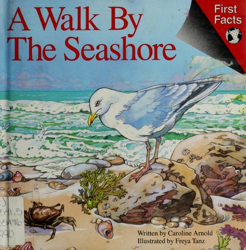 A Walk by the Seashore (First Facts: Everyday Character Education)