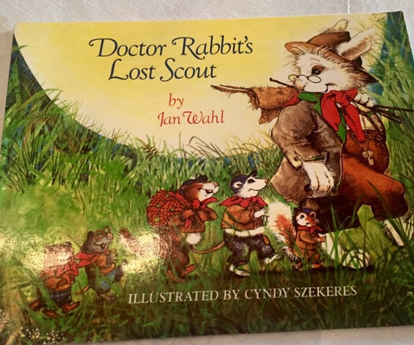 Doctor Rabbit's Lost Scout