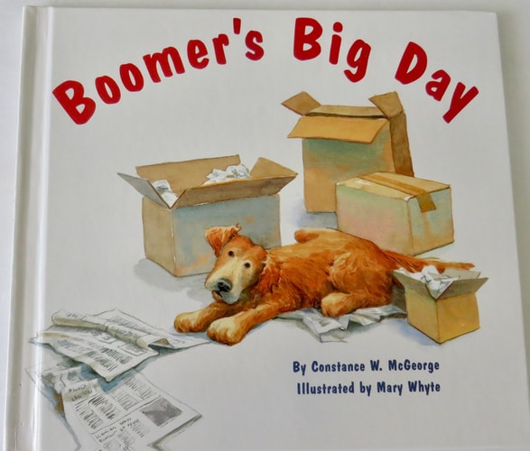 Boomer's Big Day