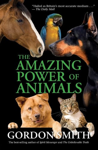 The Amazing Power of Animals
