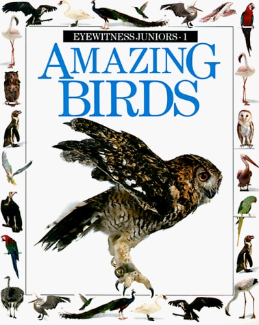 Amazing Birds (Eyewitness Junior)