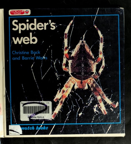 Spider's Web (Stopwatch)