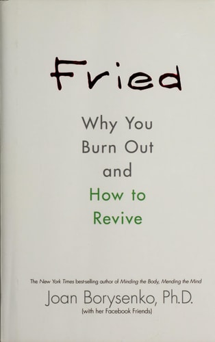 Fried: Why You Burn Out and How to Revive