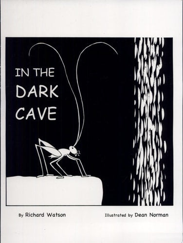 Library Book: In the Dark Cave (Rise and Shine)
