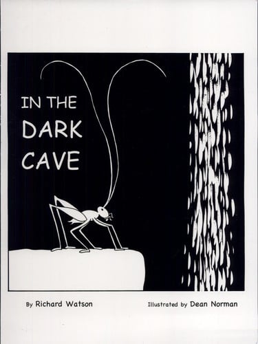 Library Book: In the Dark Cave (Rise and Shine)