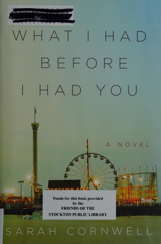 What I Had Before I Had You: A Novel