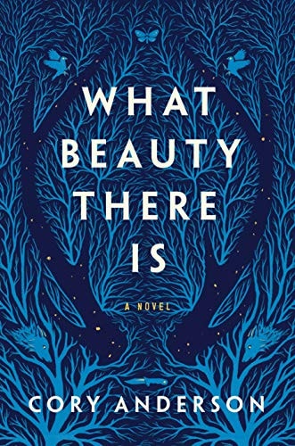 What Beauty There Is: A Novel