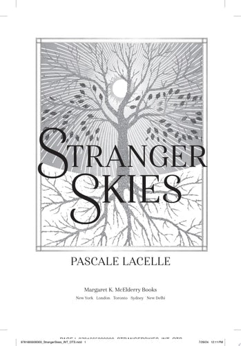 Stranger Skies (The Drowned Gods Trilogy)