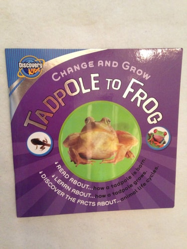 Tadpole to Frog