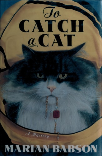 To Catch a Cat