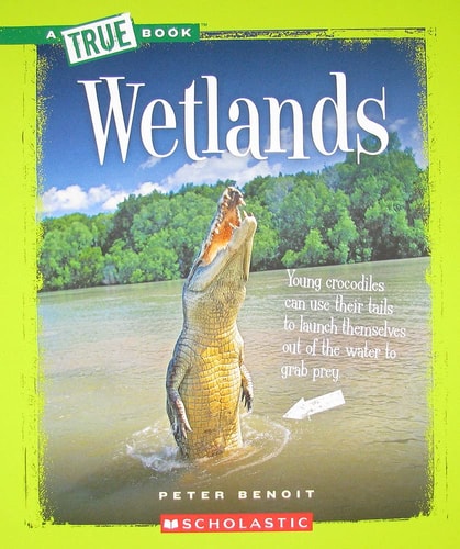 Wetlands (True Books: Ecosystems (Paperback))