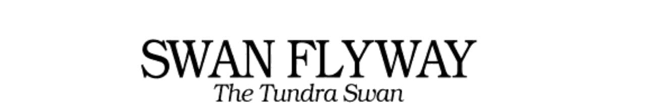 Swan Flyway: The Tundra Swan (The Smithsonian Wild Heritage Collection)