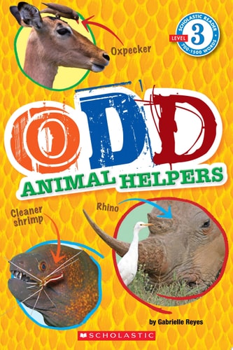 Odd Animal Helpers