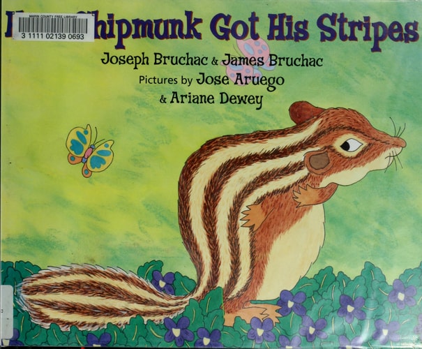How Chipmunk Got His Stripes