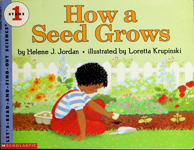 How a Seed Grows