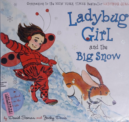 Ladybug Girl and the Big Snow