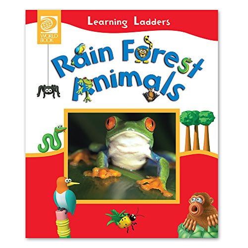Rain Forest Animals