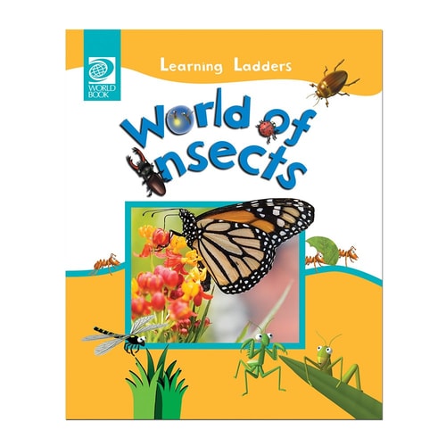 World of Insects