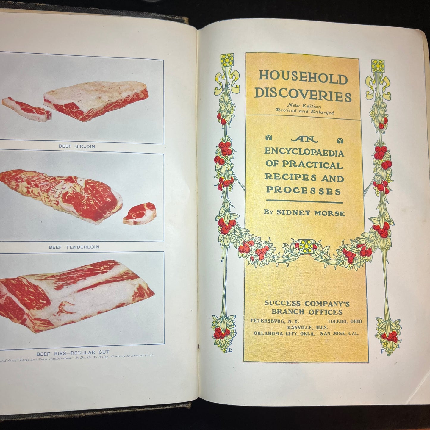 Household Discoveries and Mrs. Curtis Cookbook - Sydney Morse - 1914