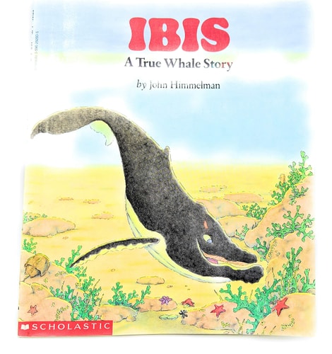 Ibis a True Whale Story