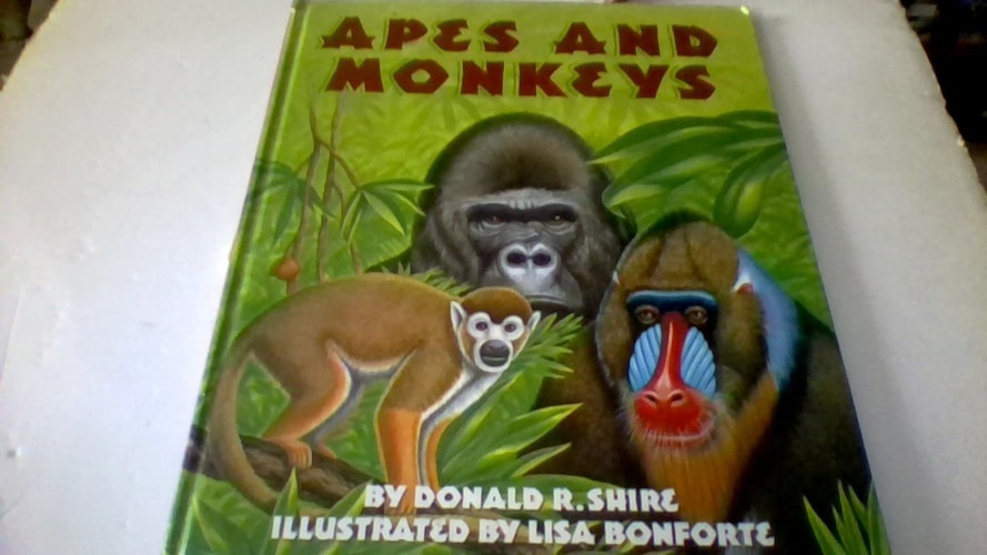 Apes and Monkeys