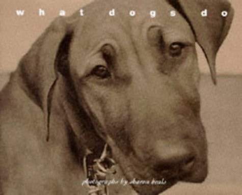 What Dogs Do