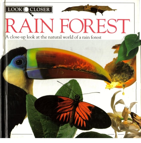 Rain Forest (Look Closer)