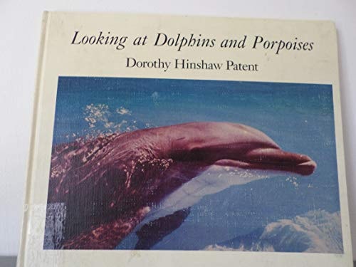 Looking at Dolphins and Porpoises