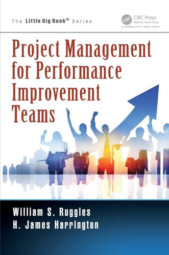 Project Management for Performance Improvement Teams (The Little Big Book Series)