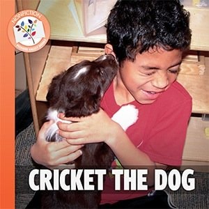 Cricket the Dog