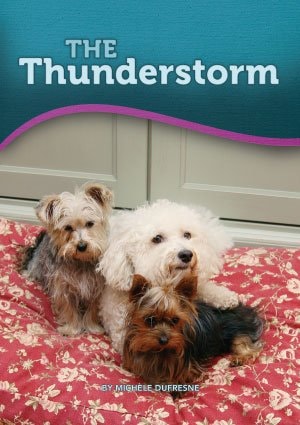 Thunderstorm, The