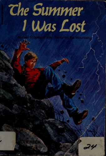 Summer I Was Lost