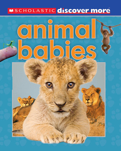 Animal Babies