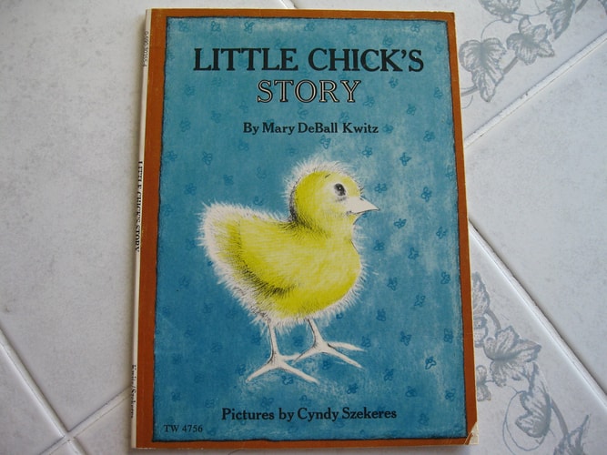 Little Chick's Story