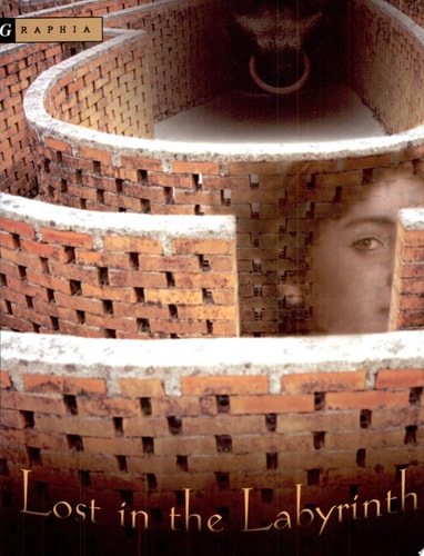 Lost in the Labyrinth