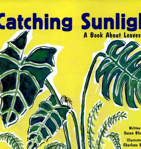 Catching Sunlight: A Book About Leaves (Growing Things)